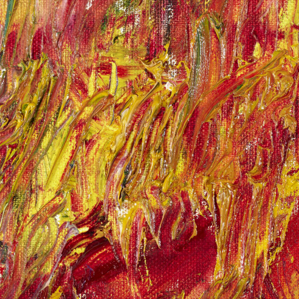 Fire in The Forest - Image 2