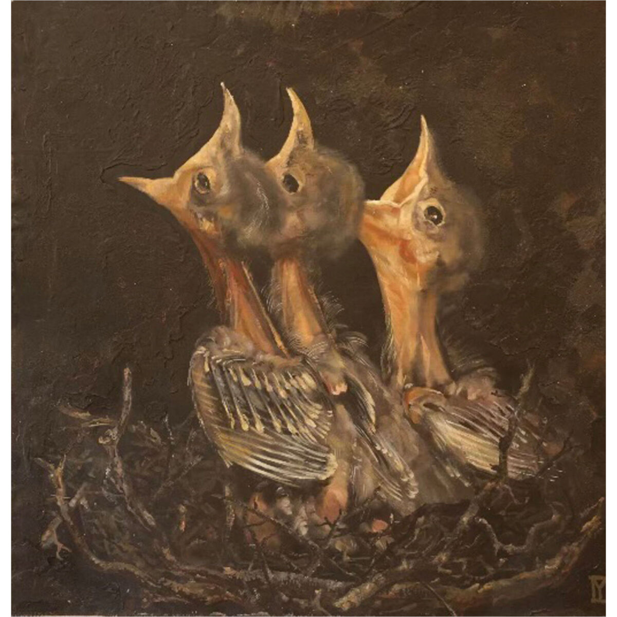 Baby Birds