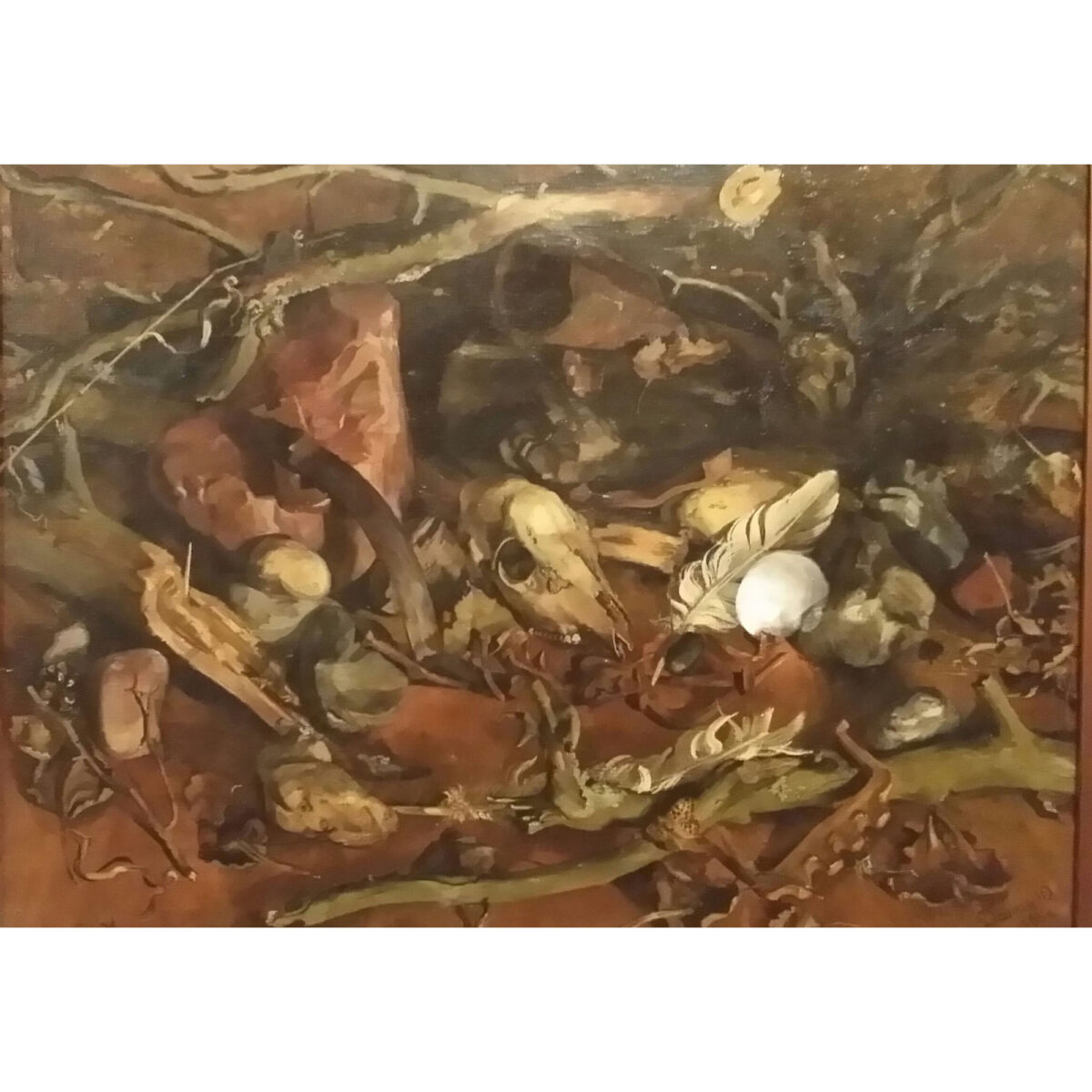Skull Still Life